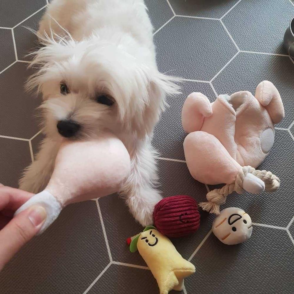 Cartoon Character Plush Chew Toys for Dogs