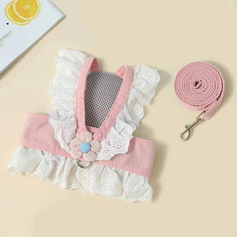 Lightweight Cat Walking Gear