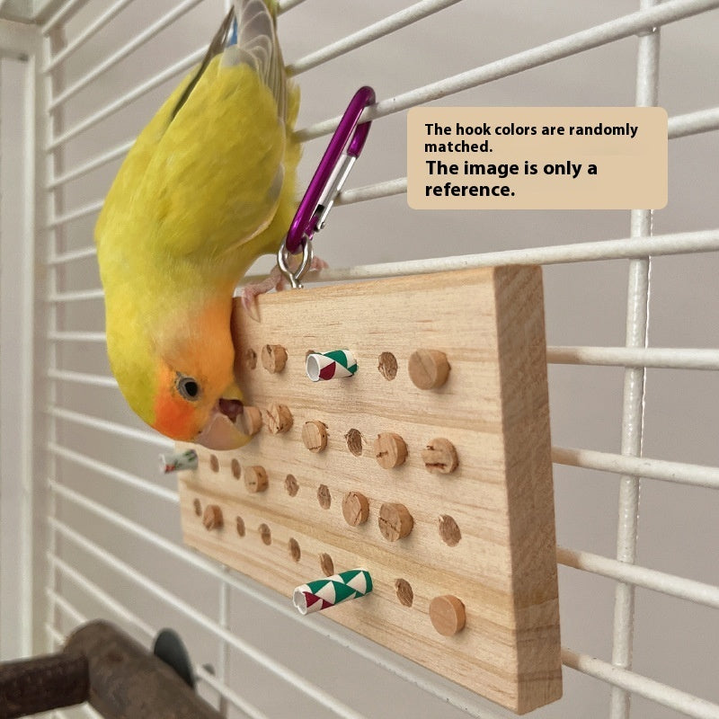Interactive Parrot Chewing and Training Toy with Keyboard Design
