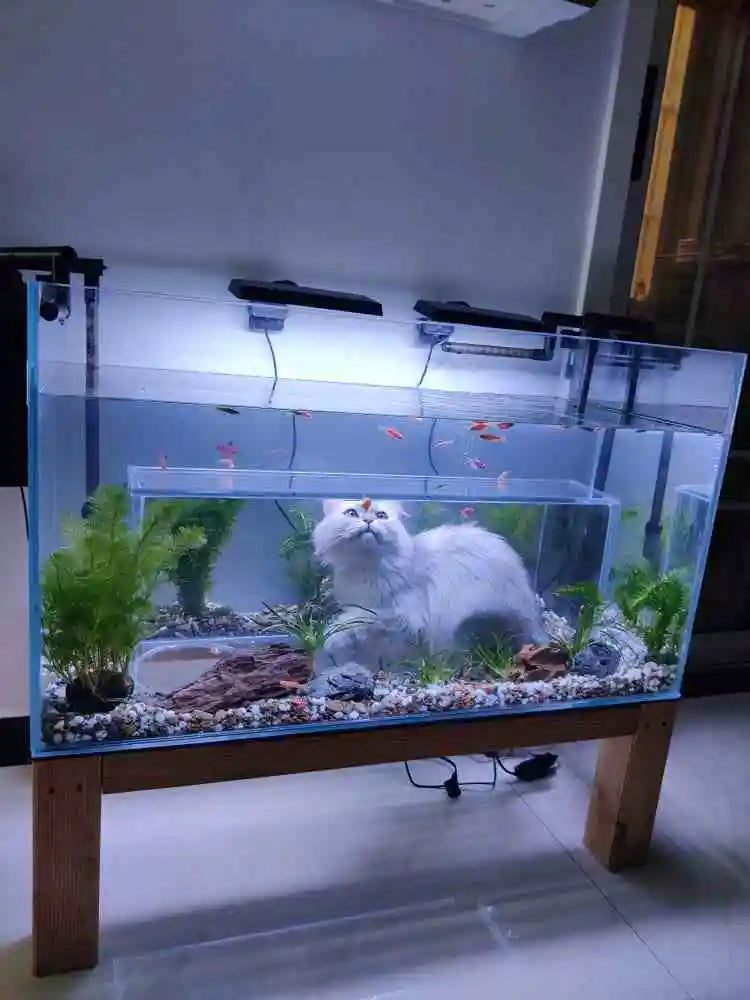 Cat Aquarium Tank