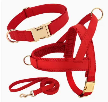 Unique Dog Harness with Coordinating Leash