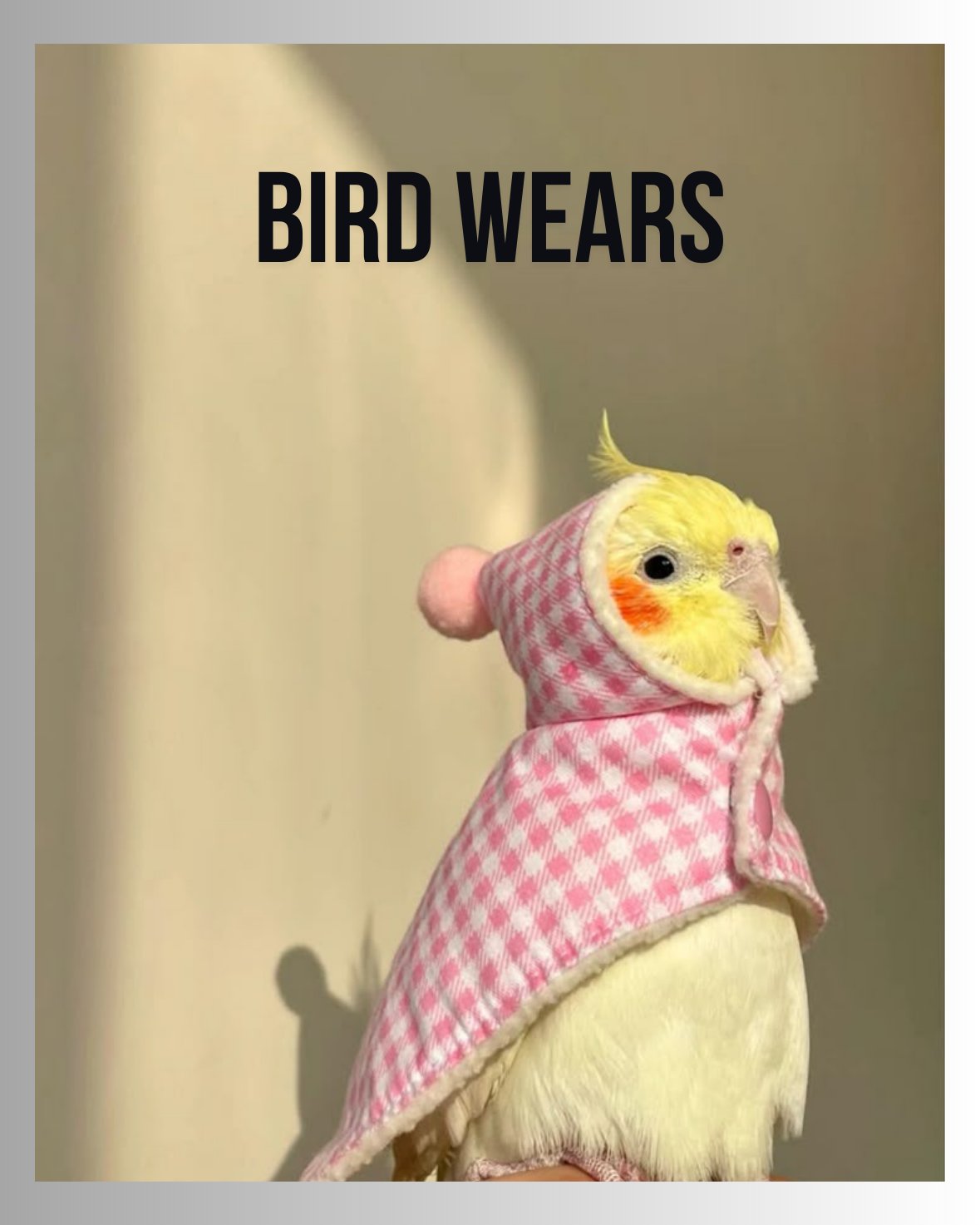 Bird Wears
