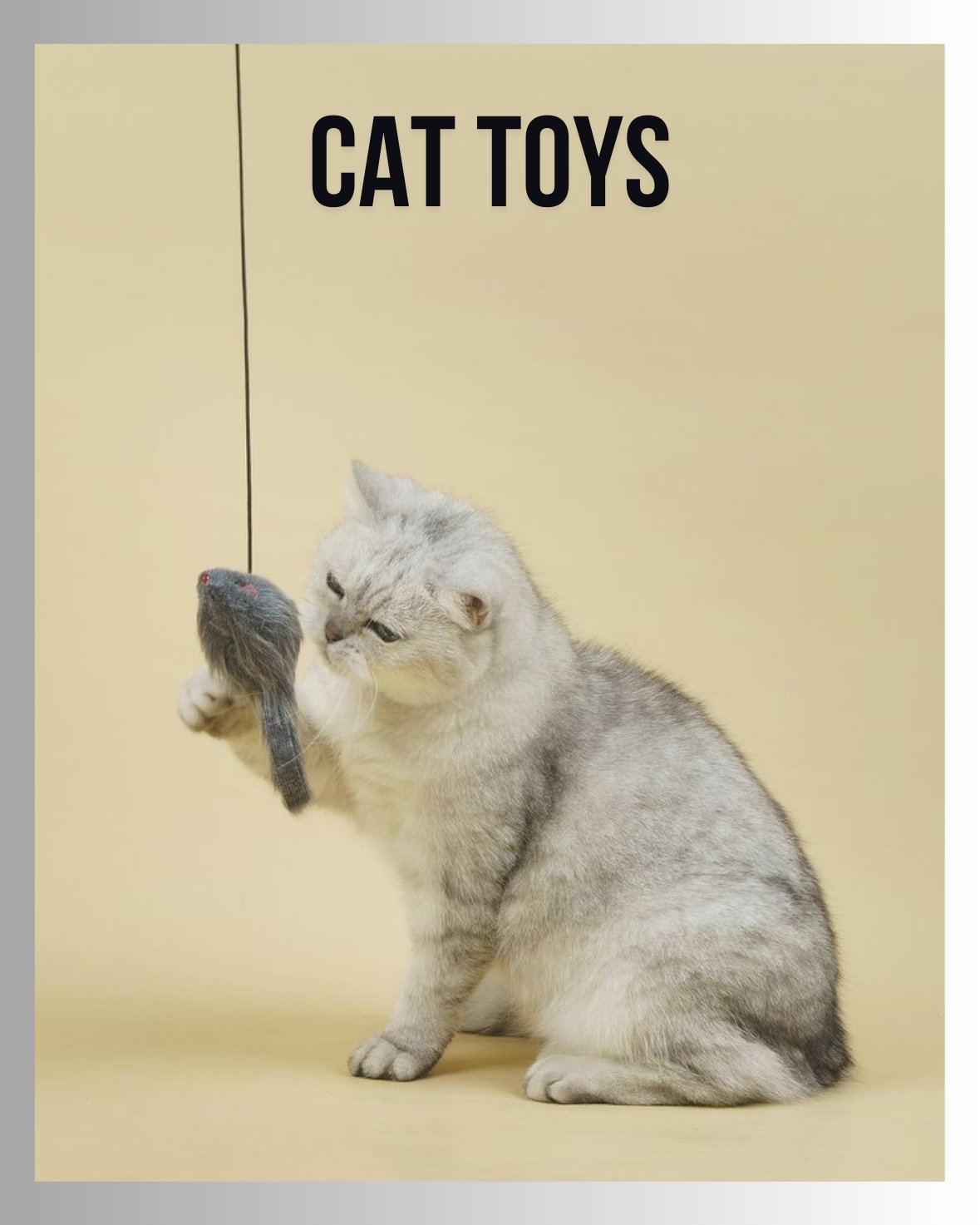 Cat Toys