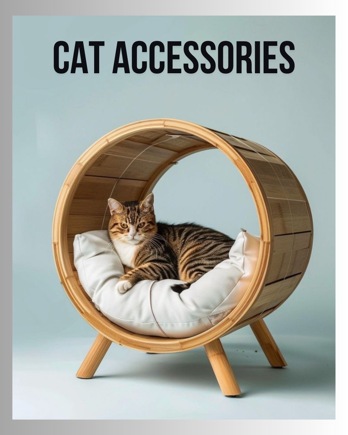 Cat Accessories