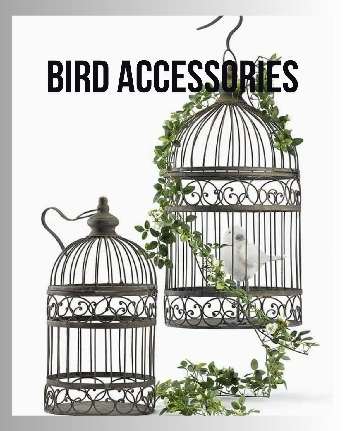 Bird Accessories