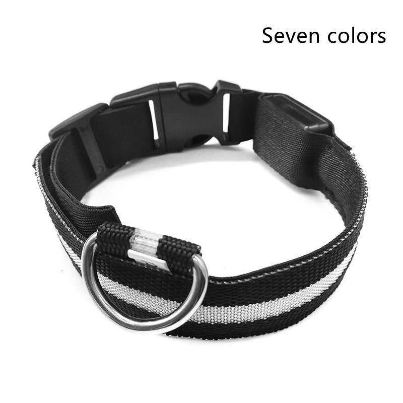 LED Pet Collar with Nylon Leash