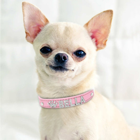 Rhinestone-Adorned Personalized Pet Neckband