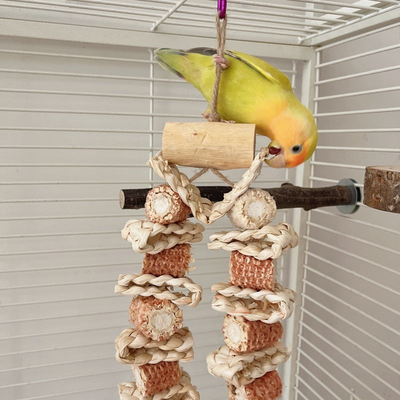 Parrot Beak Maintenance Toy for Medium to Large Birds