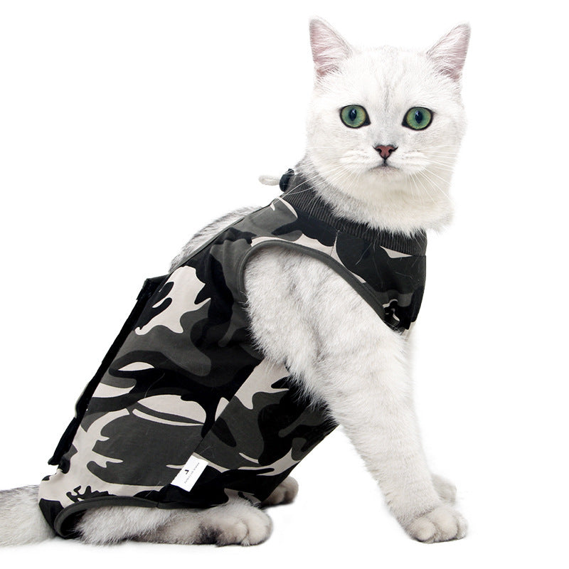 Recovery Attire for Cats After Surgery