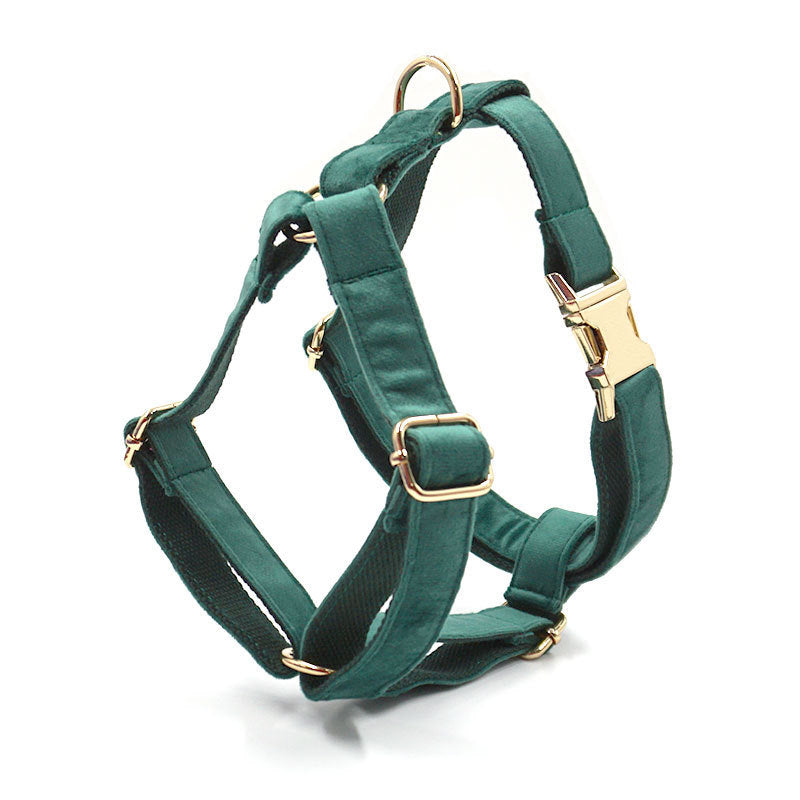 Luxurious Velvet Dog Collar and Leash Set