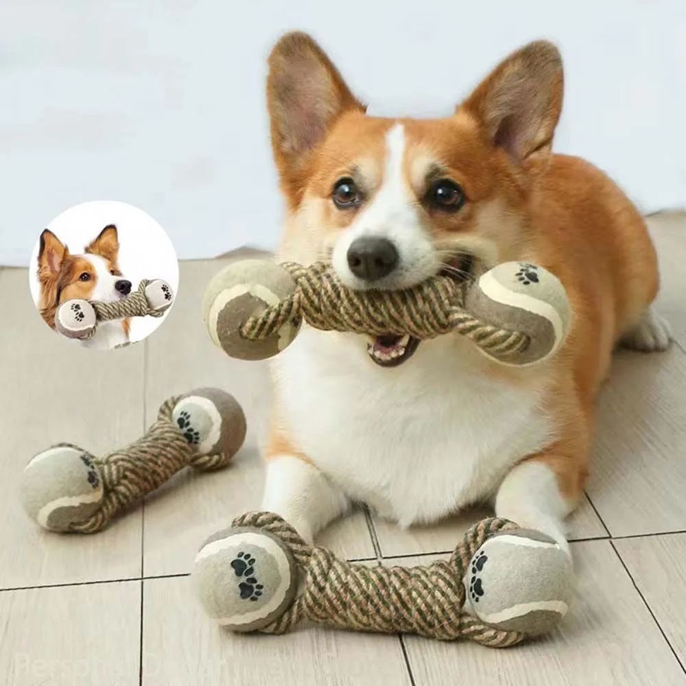 Multi-Function Pet Play Toy – Cotton Rope and Rubber Dumbbell for Fetch & Chewing