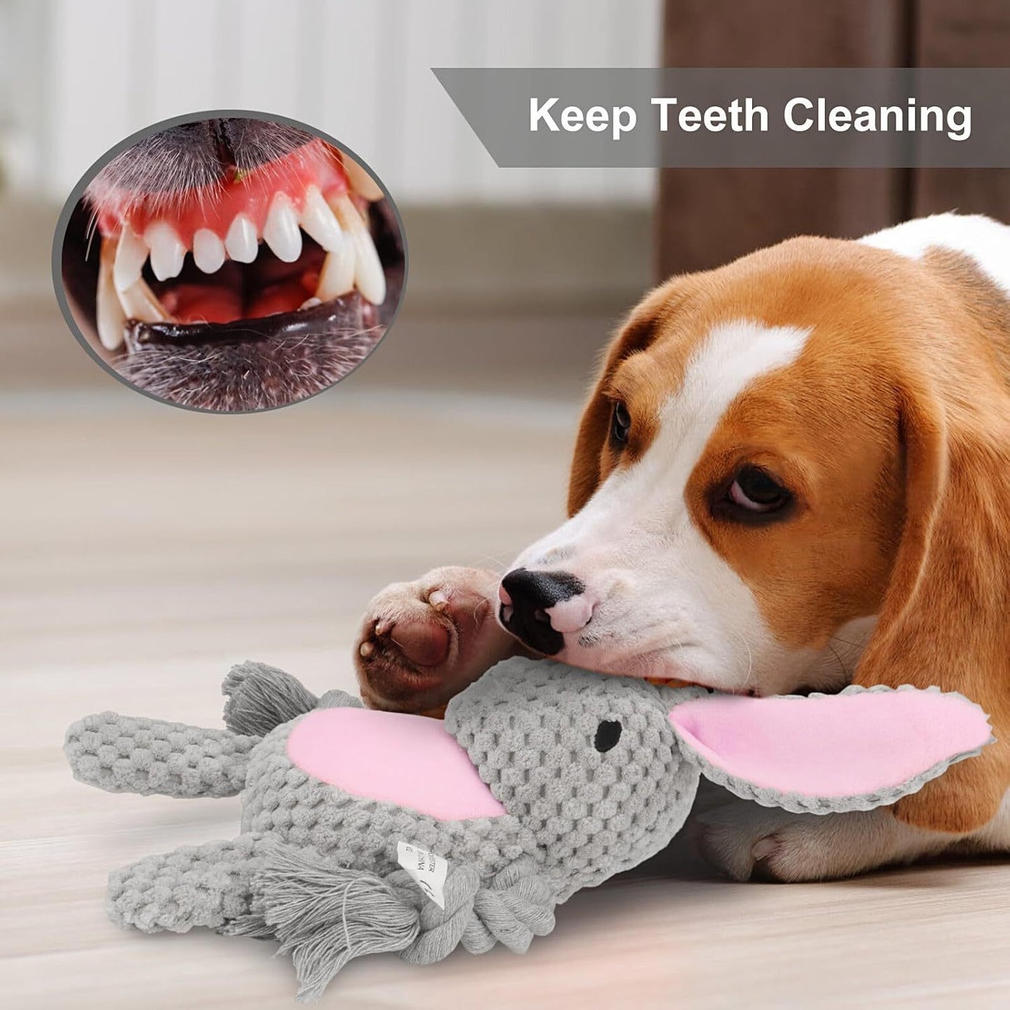 Interactive Squeaky Dog Toys