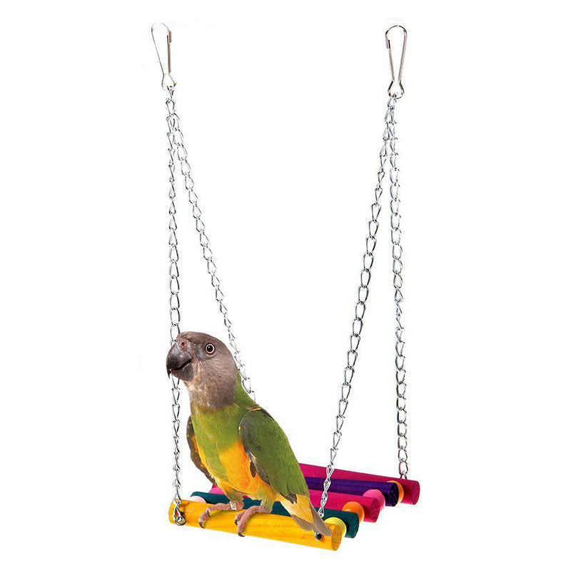 Multi-colored Suspension Bridge for Parrots