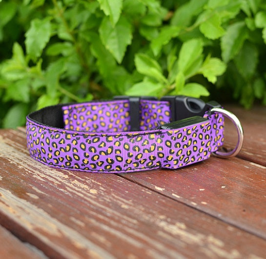 Leopard Pattern LED Safety Collar for Dogs