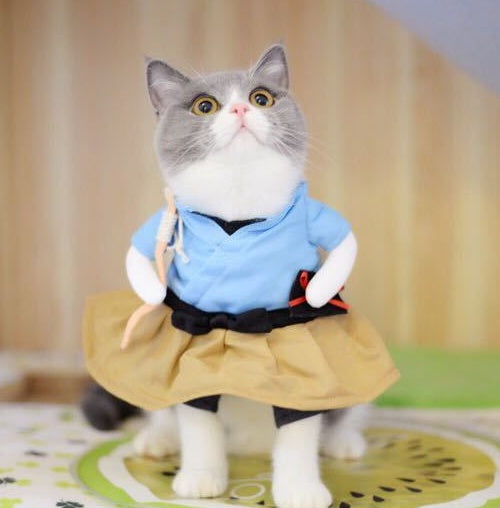 Humorous Cat Outfit, Cat Apparel, Pet Costume, Dress-Up Suit for Cats, Party Clothing for Cats, Cosplay Outfit.