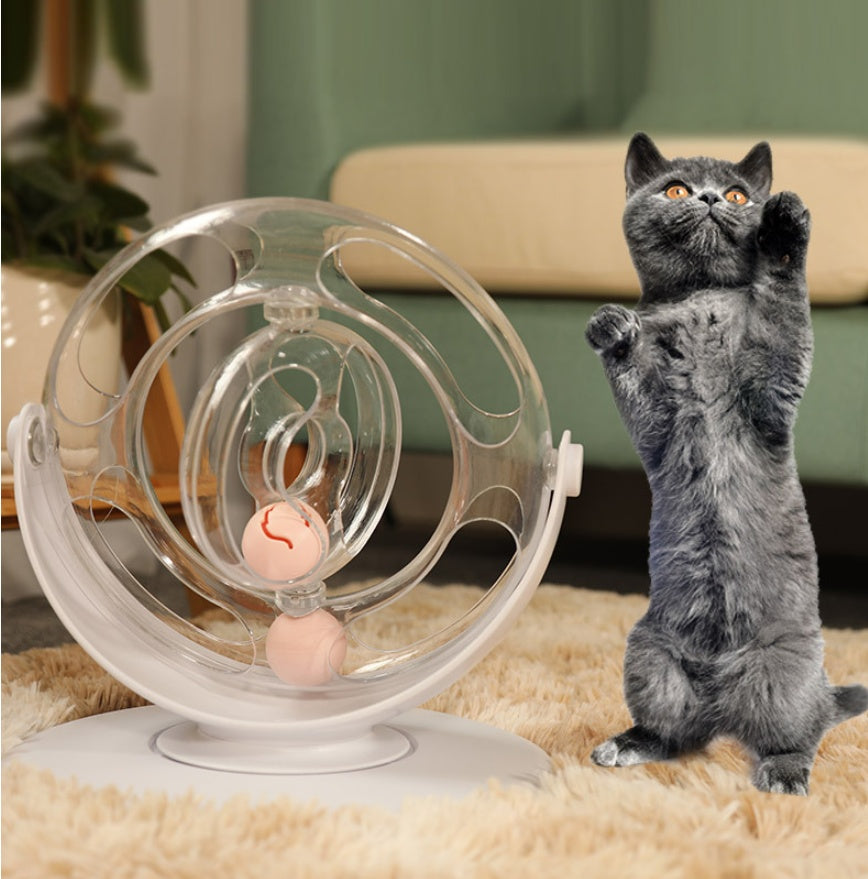 Educational Cat Play Spinner