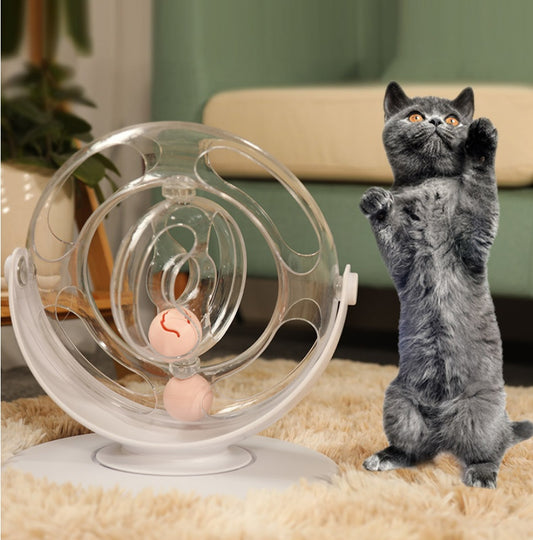 Educational Cat Play Spinner