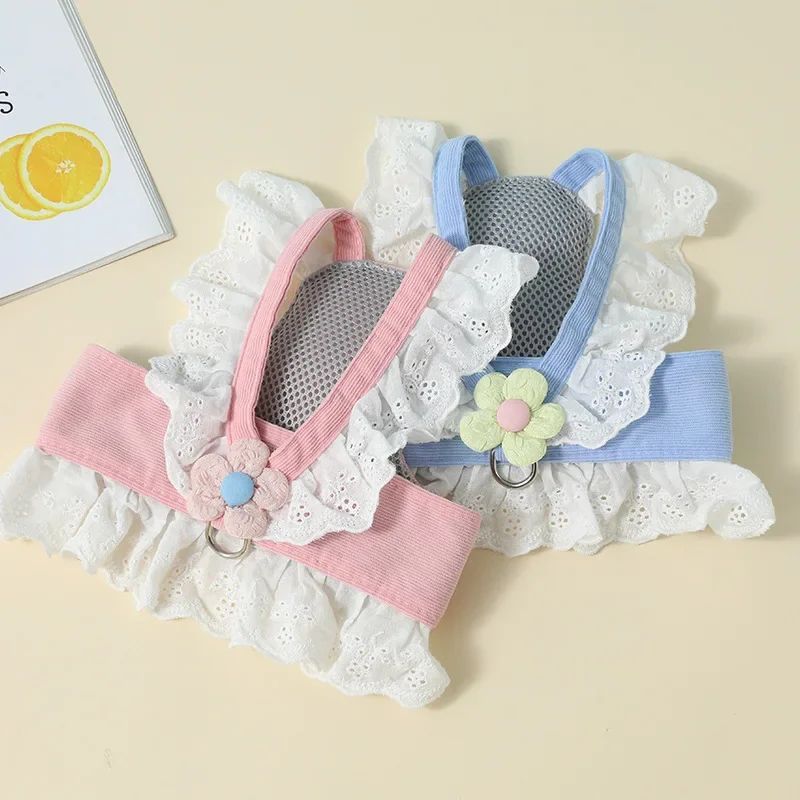 Lightweight Cat Walking Gear