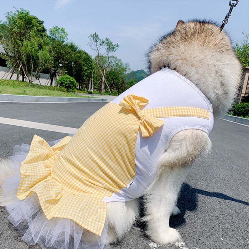 Majestic Dog Costume for Large Breeds