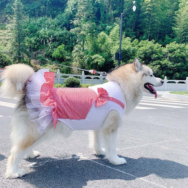 Majestic Dog Costume for Large Breeds