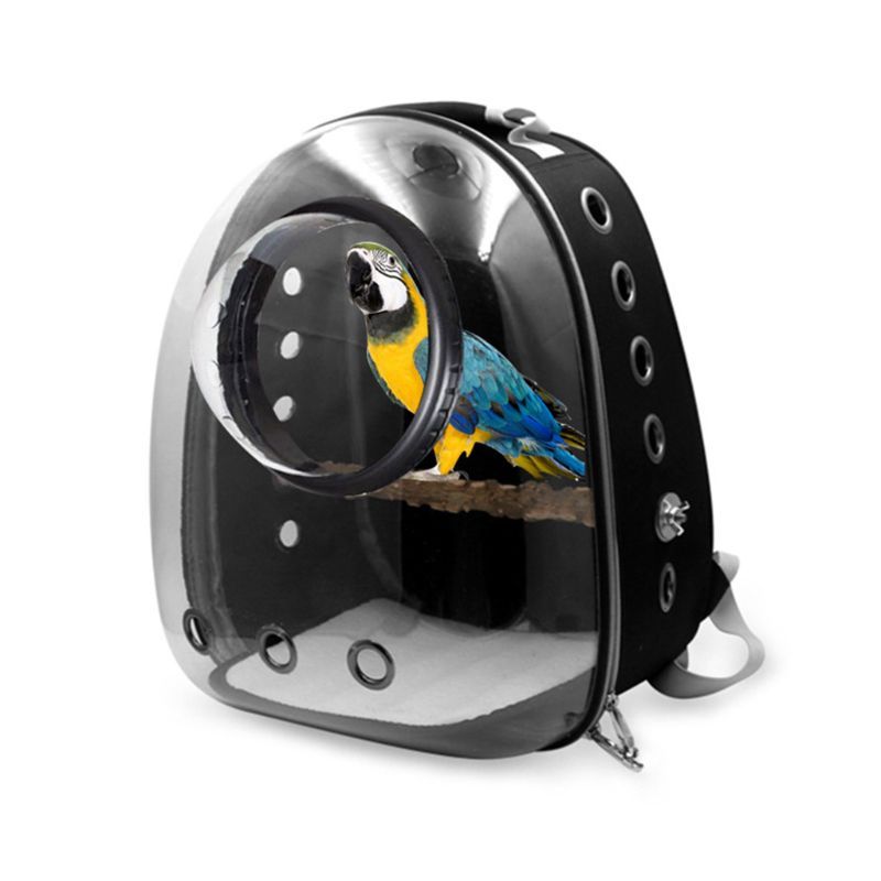 Portable Parrot and Starling Travel Bag