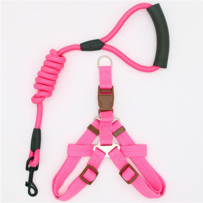 Standard Dog Walking Leash