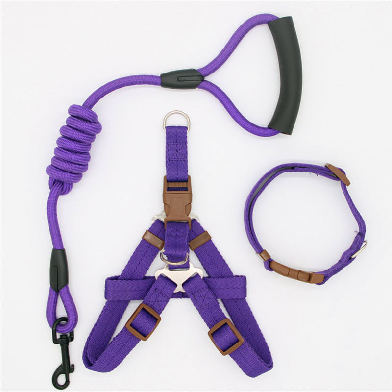 Standard Dog Walking Leash