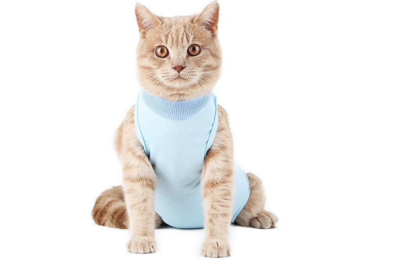 Anti-Lick and Anti-Bite Healing Clothes for Cats