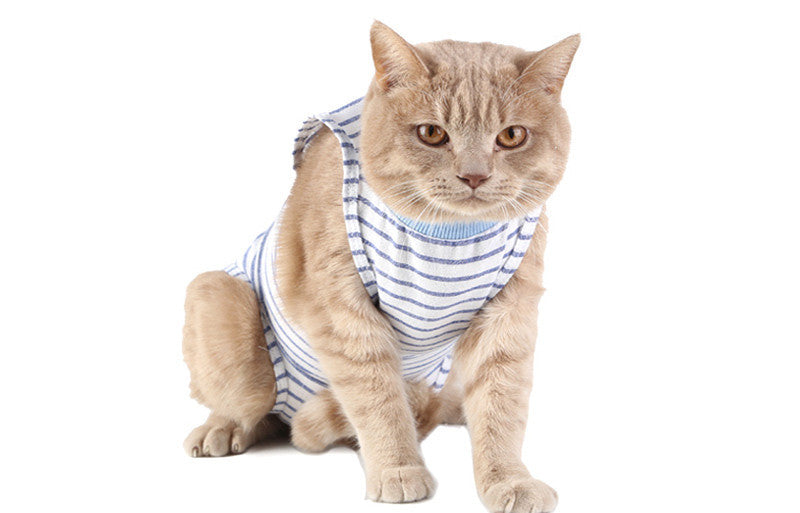 Anti-Lick and Anti-Bite Healing Clothes for Cats