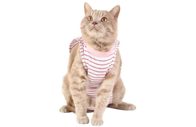 Anti-Lick and Anti-Bite Healing Clothes for Cats