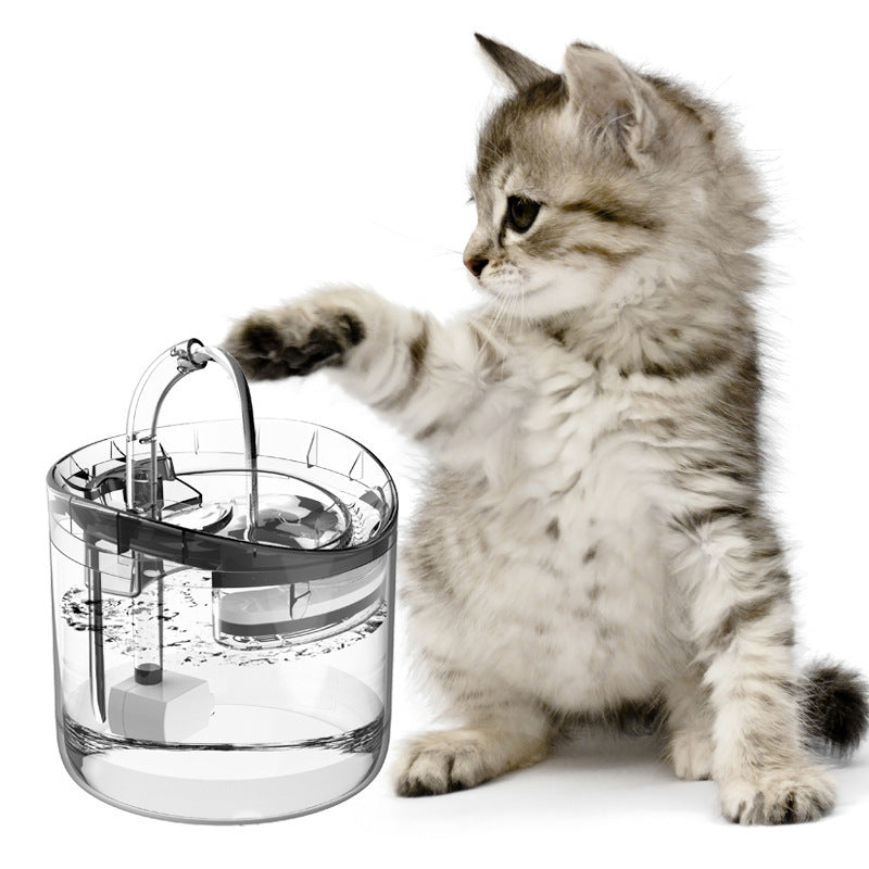 Oxygenated Pet Water Fountain