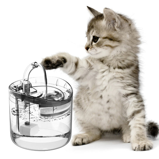 Oxygenated Pet Water Fountain