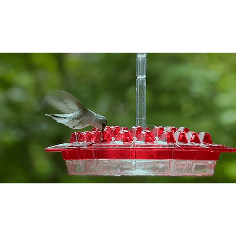 Red Hexagonal Hummingbird Nectar Feeder