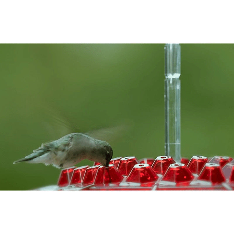 Red Hexagonal Hummingbird Nectar Feeder