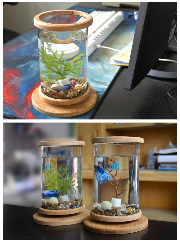 Mini Glass Aquarium with Bamboo Stand for Office