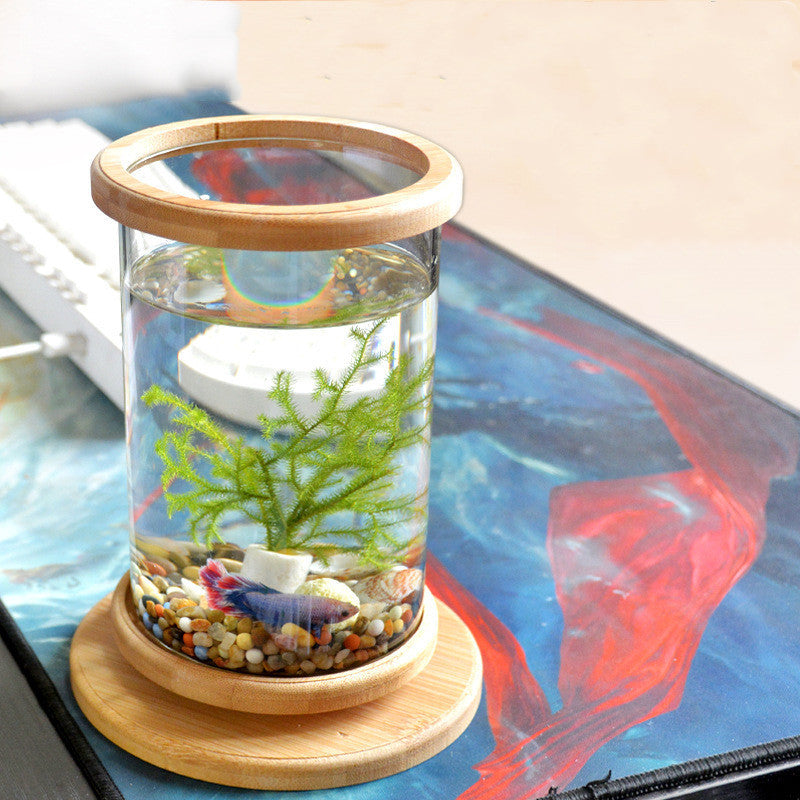 Mini Glass Aquarium with Bamboo Stand for Office