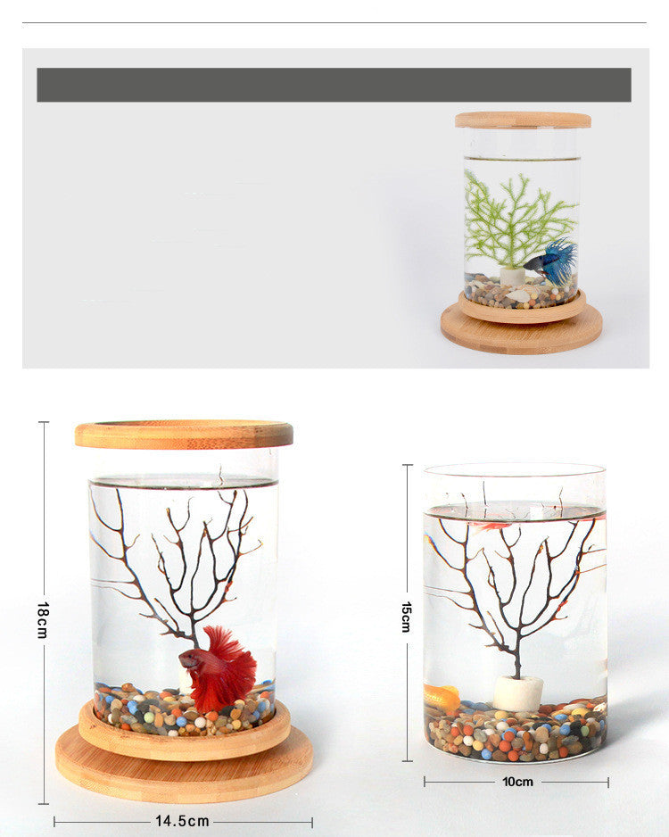 Mini Glass Aquarium with Bamboo Stand for Office