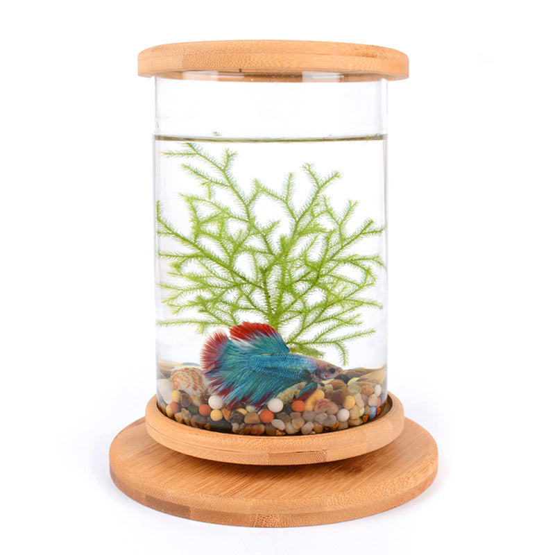 Mini Glass Aquarium with Bamboo Stand for Office