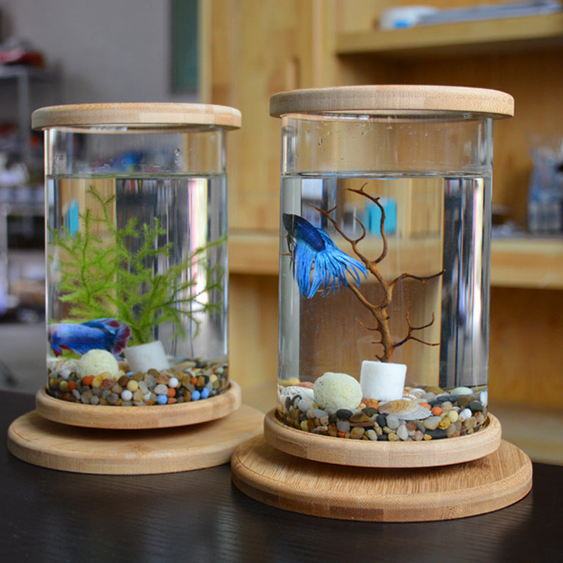 Mini Glass Aquarium with Bamboo Stand for Office