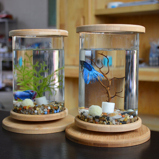 Mini Glass Aquarium with Bamboo Stand for Office