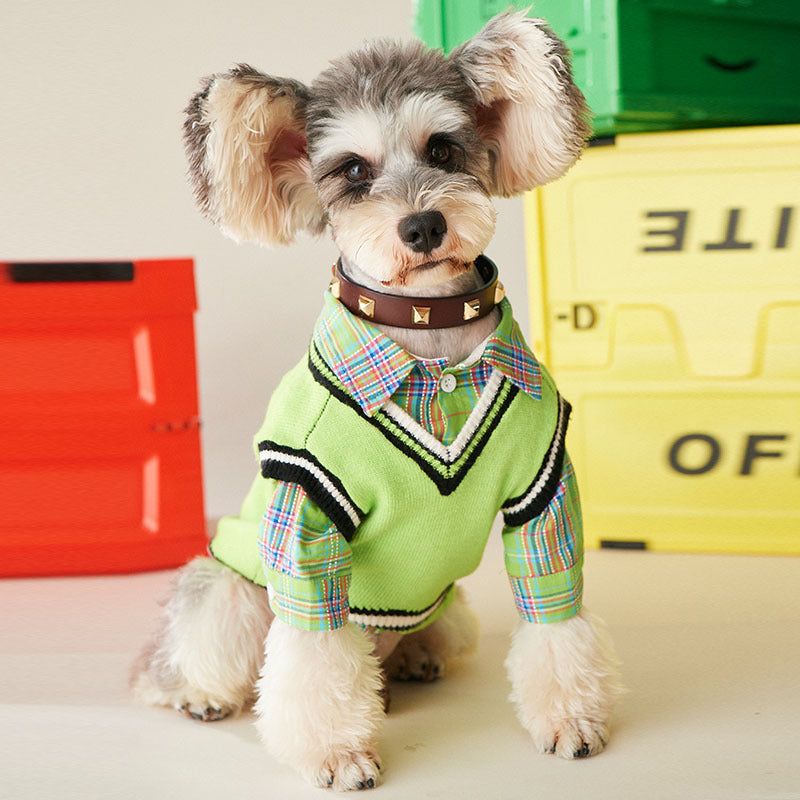 Pet Fashion Shirts for Furry Friends