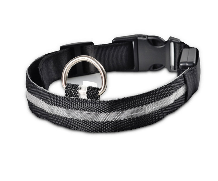 LED Pet Collar with Nylon Leash
