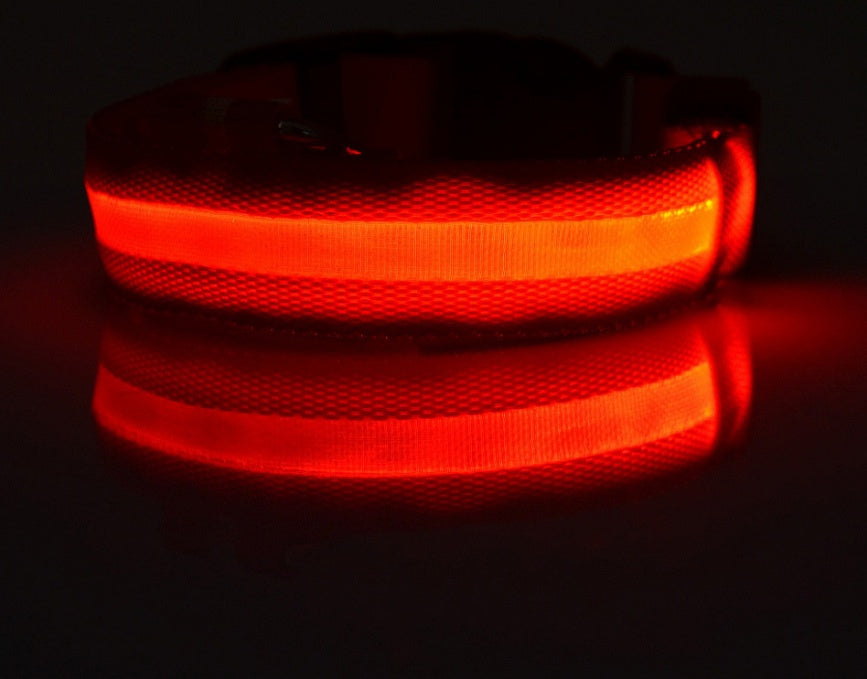 LED Pet Collar with Nylon Leash