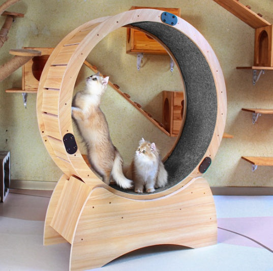 Cat Fitness Wheel for Spinning, Running, and Scratching