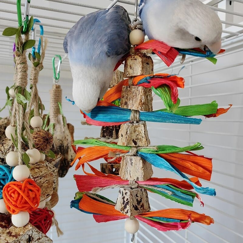 Wooden Parrot Stand with Bite Chew Toys