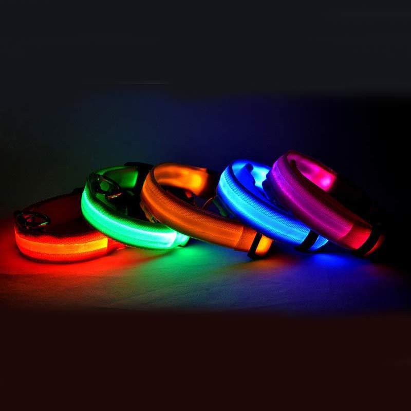 LED Pet Collar with Nylon Leash