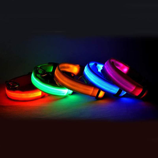 LED Pet Collar with Nylon Leash