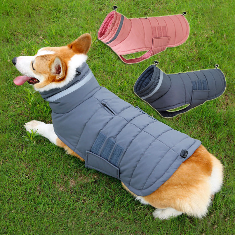 Insulated Winter Dog Jacket