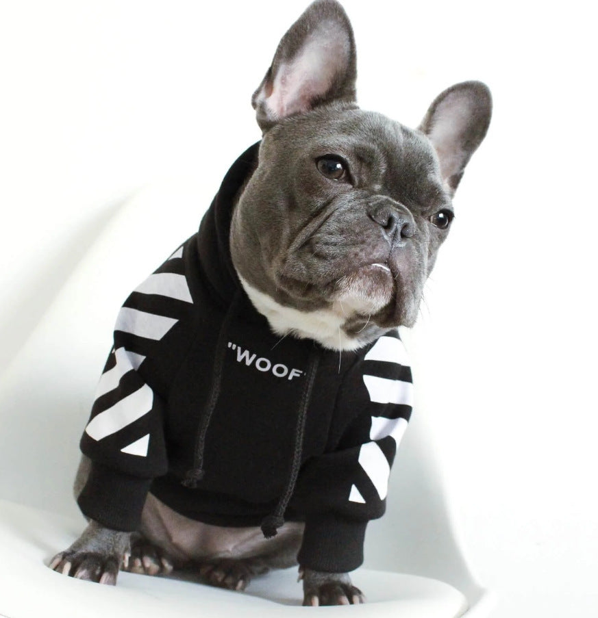 Trendy Winter Dog Sweater with Athletic Stripe