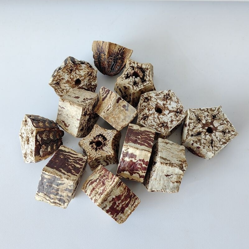 Wooden Parrot Stand with Bite Chew Toys